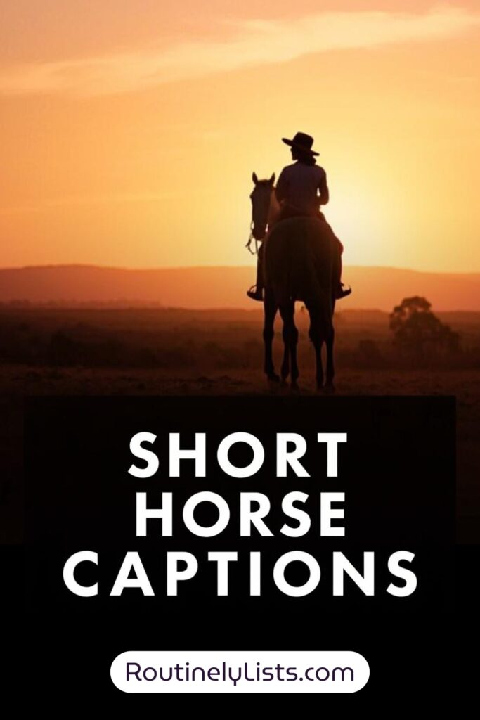 Horse captions and quotes for Instagram