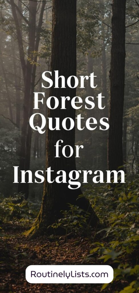 Forest captions and short quotes for Instagram