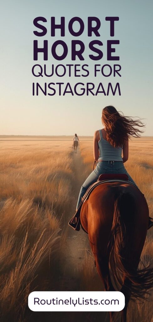Horse captions and quotes for Instagram