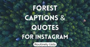 Forest captions and short quotes for Instagram