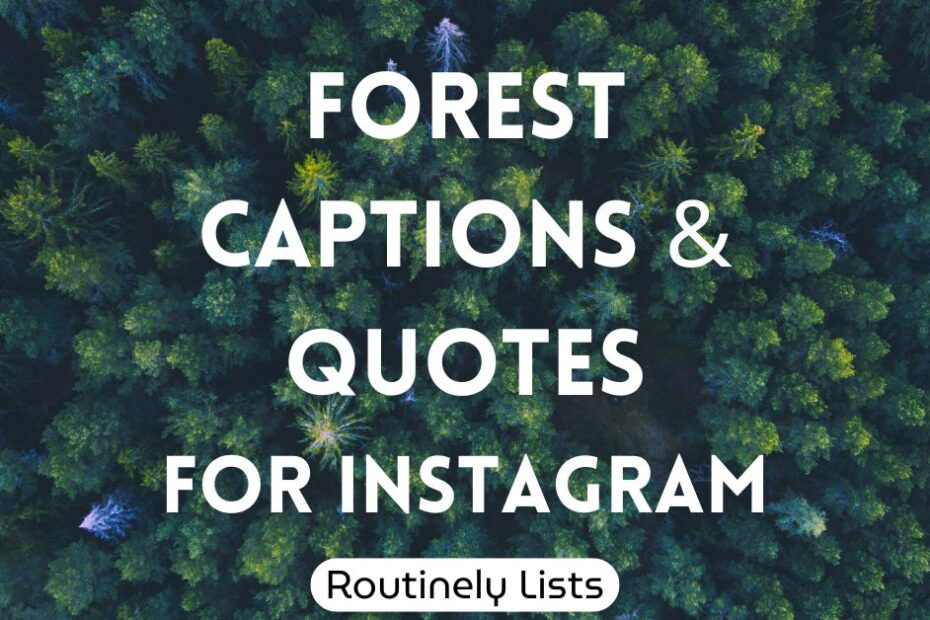 Forest captions and short quotes for Instagram
