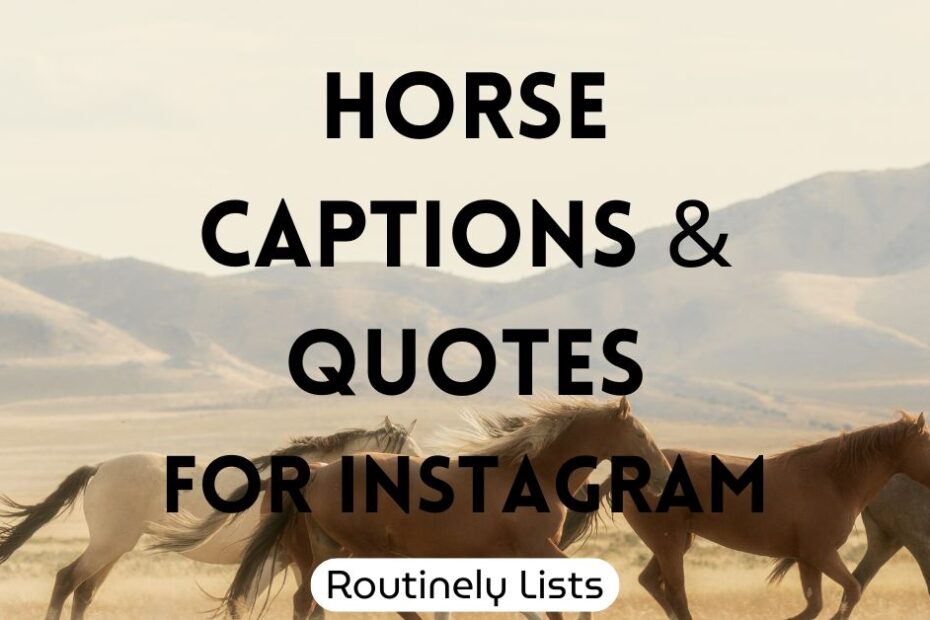 Horse captions and quotes for Instagram